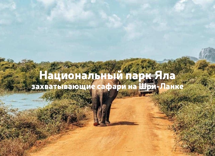 Национальный парк Яла, Шри-Ланка: сафари, животные и проживание в лоджах