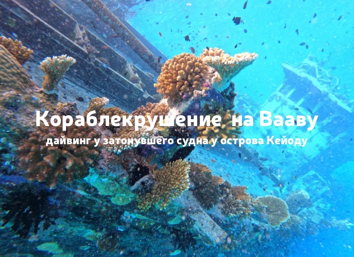 Кейоду, Вааву: затонувшее судно, кораллы и культовый вело-кадр