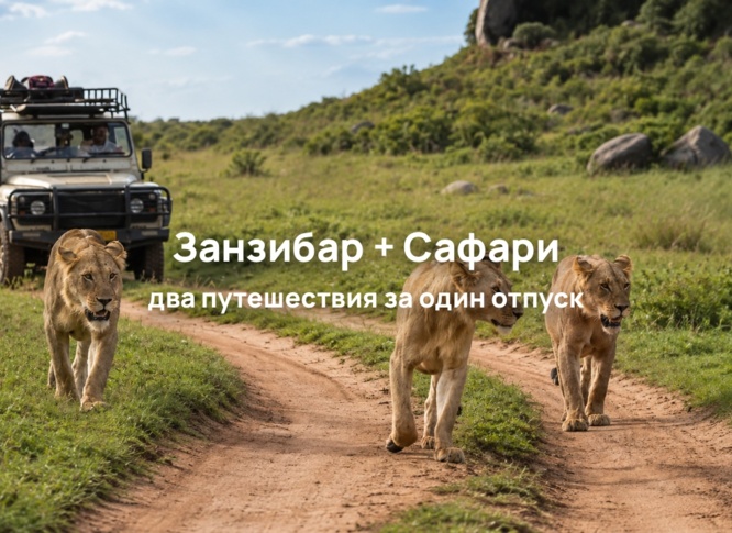Занзибар осенью и на Новый год: пляжный отдых + настоящее африканское сафари