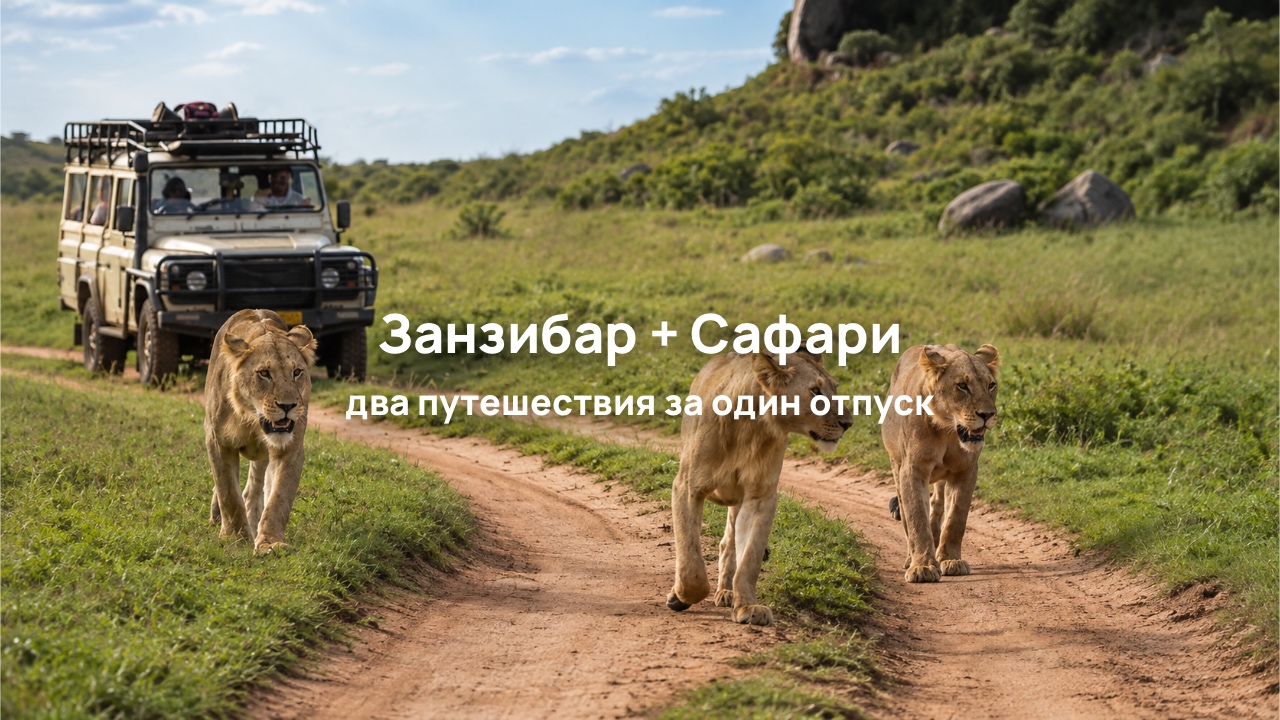 Занзибар осенью и на Новый год: пляжный отдых + настоящее африканское сафари