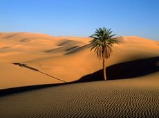 Захватывающий мир марокканской пустыни