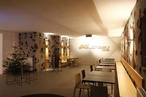 Smart Hotel Saslong 3*