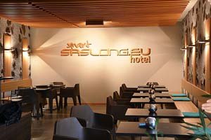 Smart Hotel Saslong 3*
