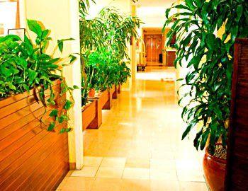 Best Western Le Saint-maurice Paris 3*