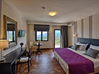 Enastron 4*