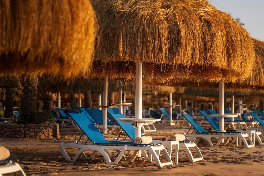 Jaz Fayrouz Resort (Ex. Hilton Sharm Fayrouz Resort) 4*