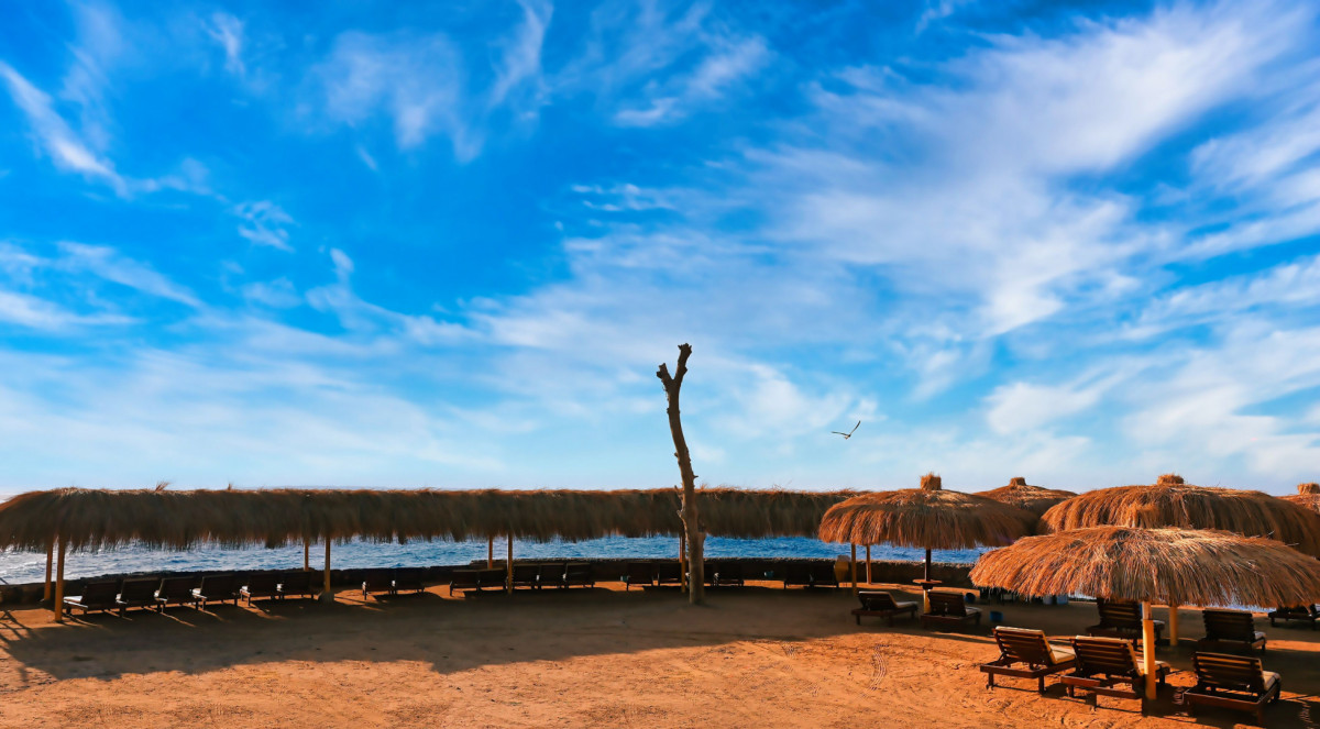 Eagles Down Town Zahabia Resort (Ex. Zahabia Hotel & Beach) 3*