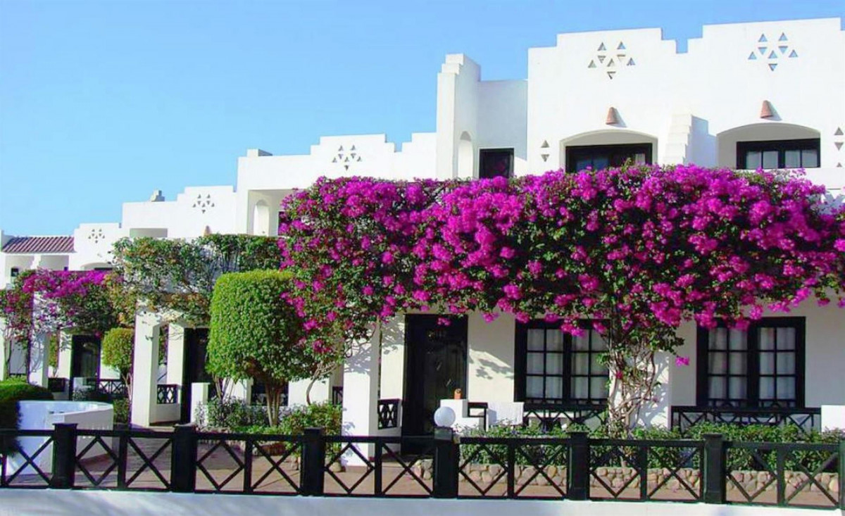 Verginia Sharm Resort & Aqua Park (ЕХ. Verginia Sharm, Sol Verginia) 4*