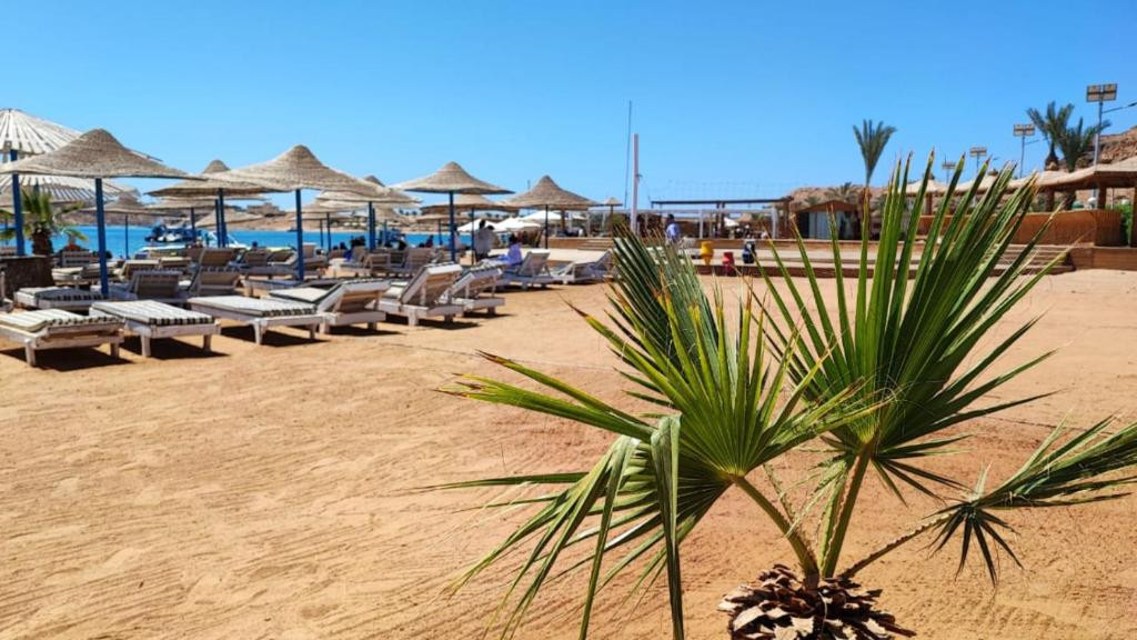 Turquoise Beach Hotel (Ex. Turquoise Swiss Inn) 3*