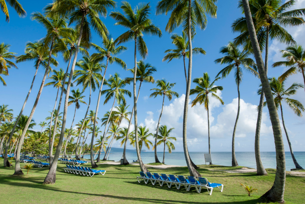 Grand Paradise Samana 4*