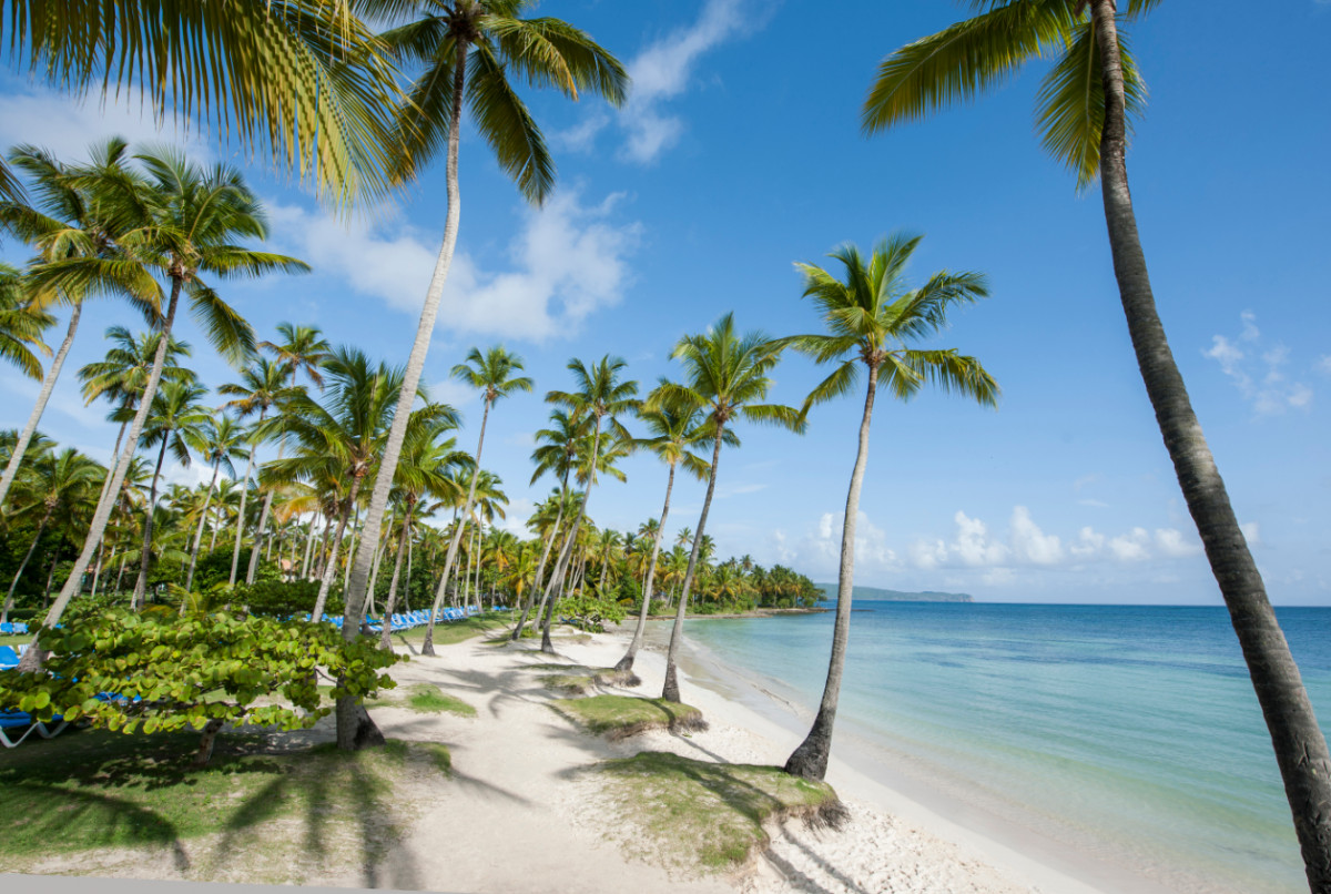 Grand Paradise Samana 4*