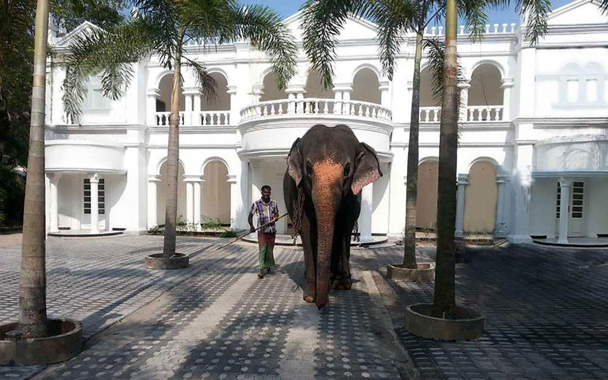 Bougain Villa Guest 3*
