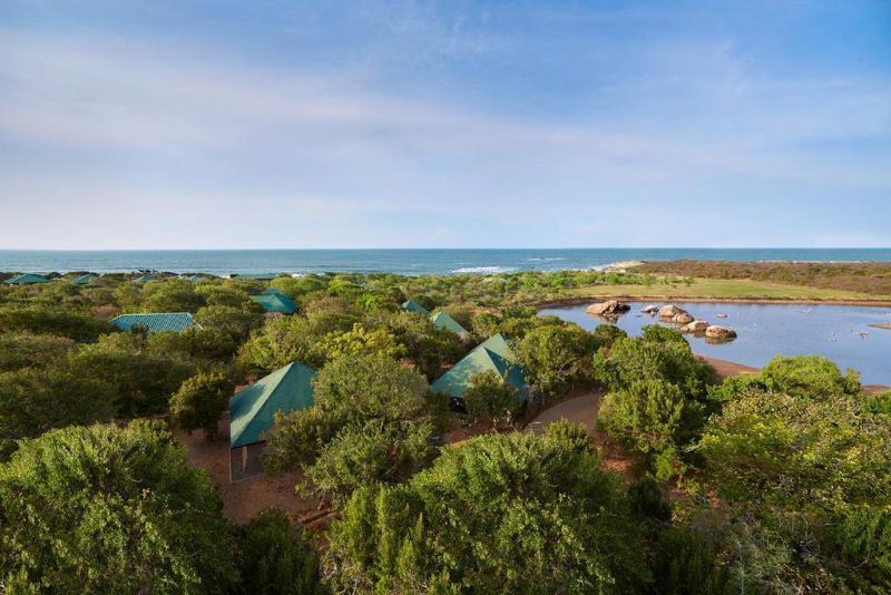 Cinnamon Wild Yala 4*