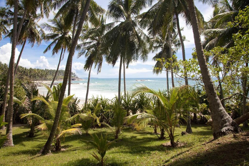 Palm Paradise Cabanas And Villas Beach Resort 3*