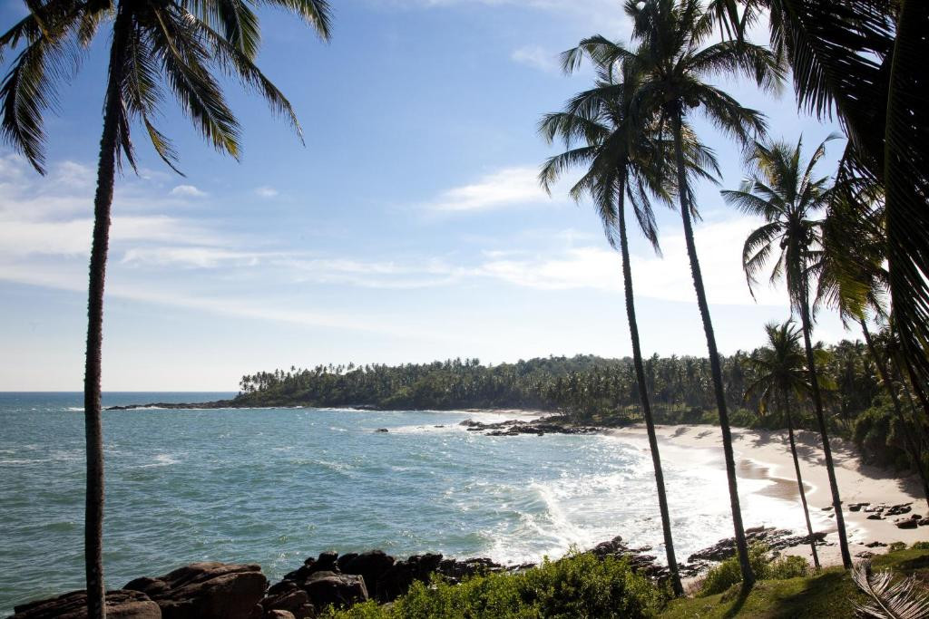 Palm Paradise Cabanas And Villas Beach Resort 3*