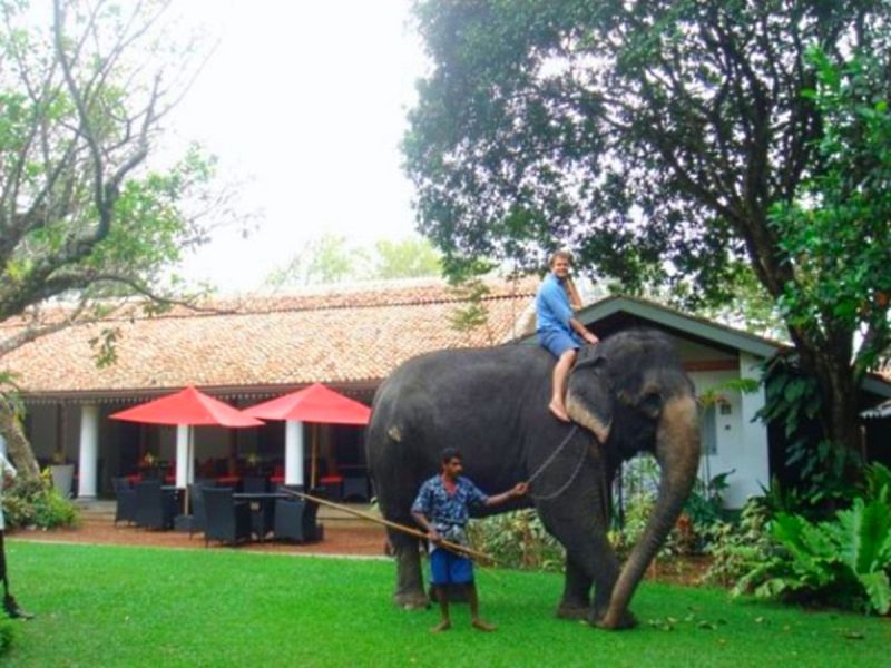 The Wallawwa 5*