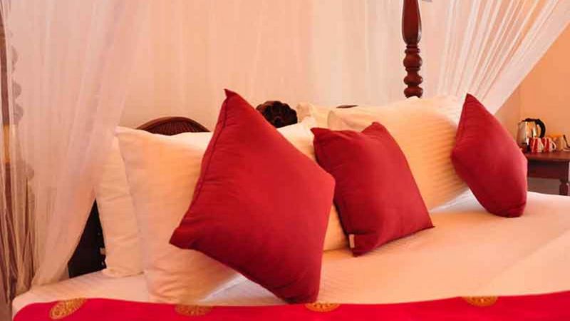 Villa Camellia 2*