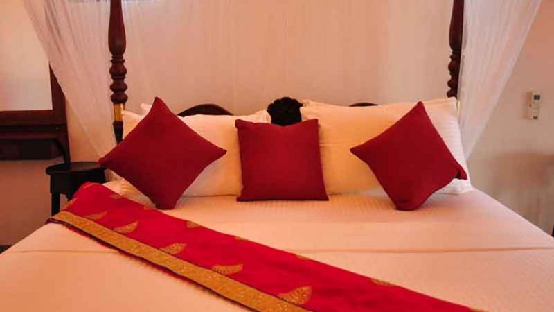 Villa Camellia 2*