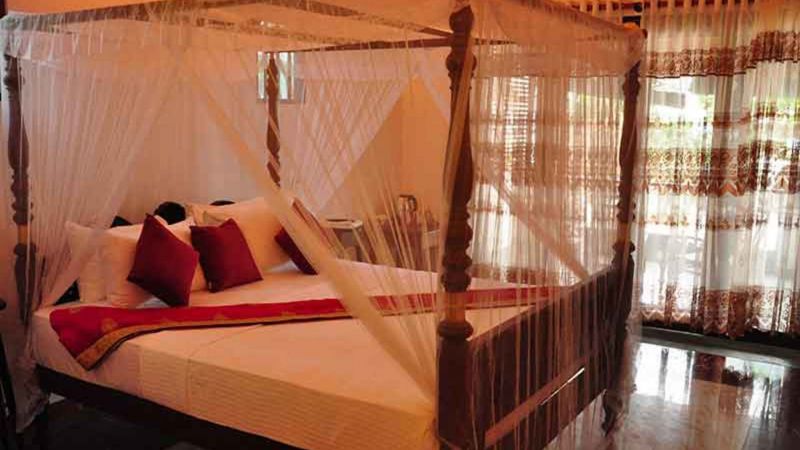 Villa Camellia 2*
