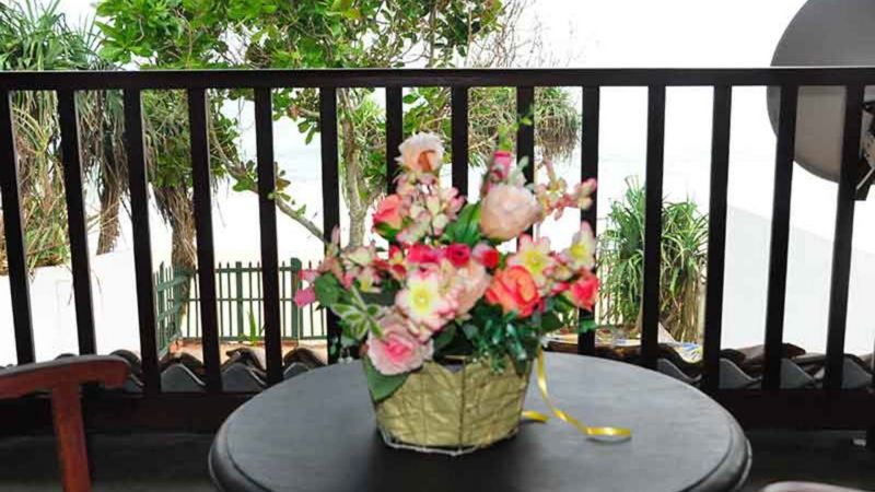 Villa Camellia 2*