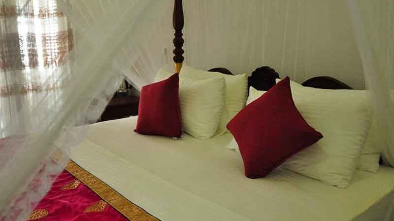 Villa Camellia 2*