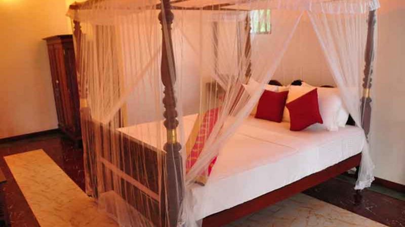 Villa Camellia 2*