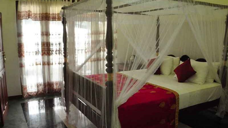 Villa Camellia 2*