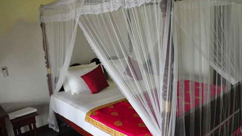 Villa Camellia 2*