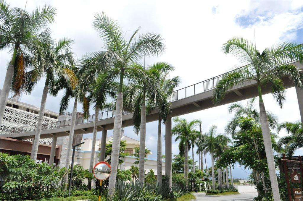 Aloha Ocean Front Suite Annex Building 5*