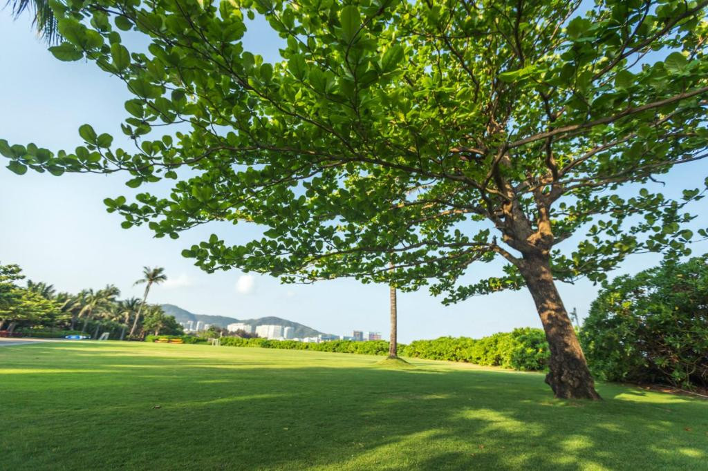 Banyan Tree Sanya Resort & Spa 5*