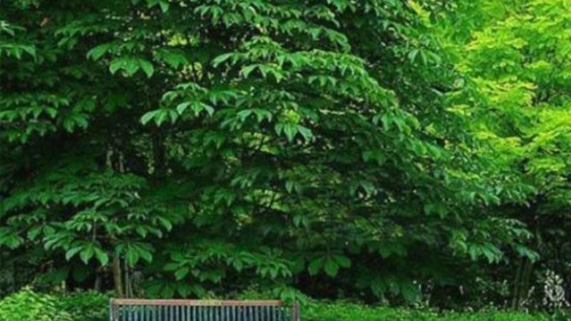 Hainan Noble Yacht Club 4*