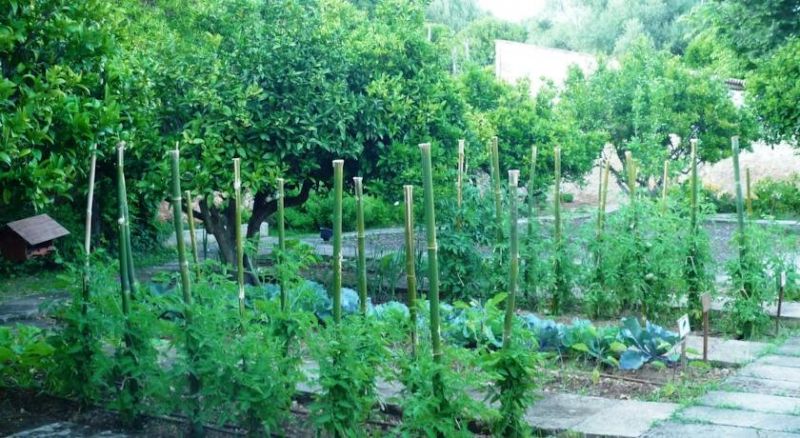 Agroturismo Son Siurana 4*