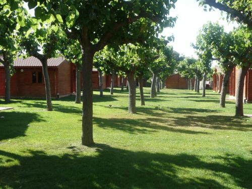 Camping La Llosa 3*
