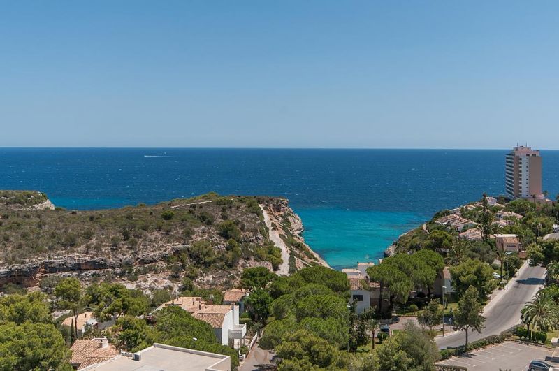 Hyb Eurocalas 4*