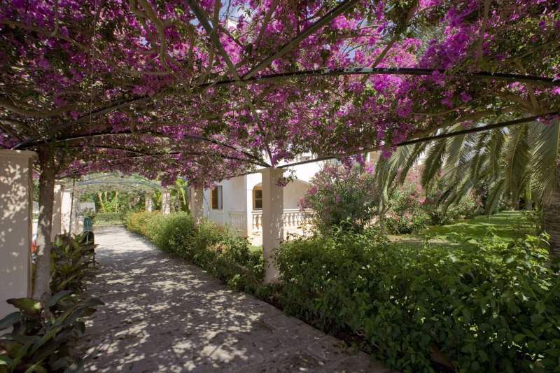 Ola Ferrer Aparthotel Isabel 3*