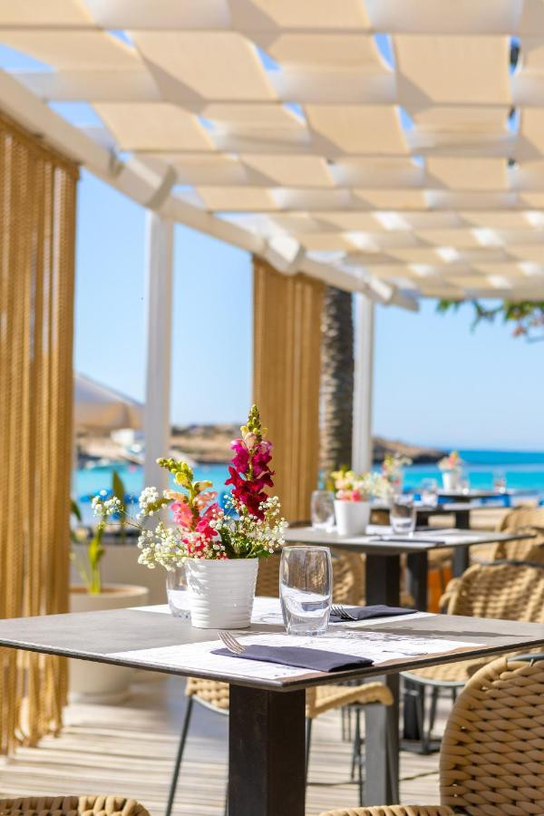 Pavlo Napa Beach 4*