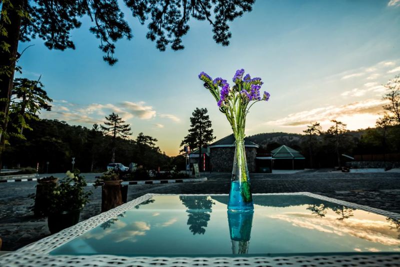 Troodos 2*