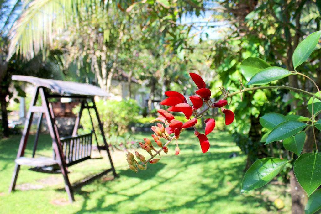 Champa Resort 3*