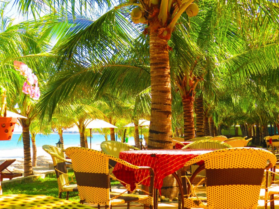 Con Ga Vang Resort (Ex. Golden Rooster) 3*