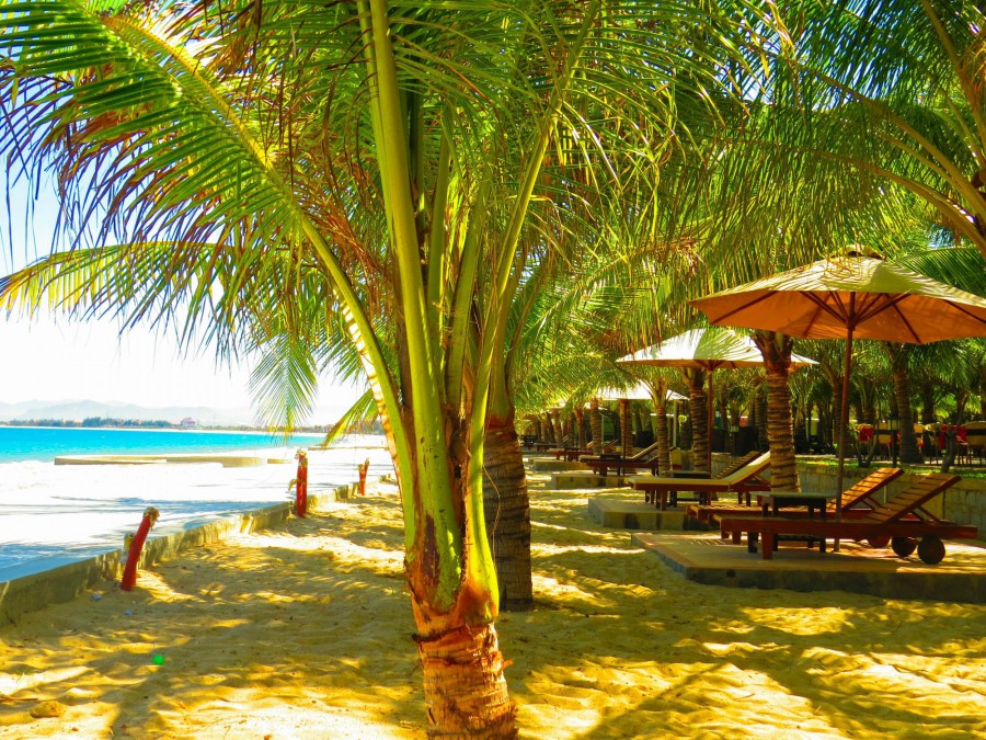 Con Ga Vang Resort (Ex. Golden Rooster) 3*