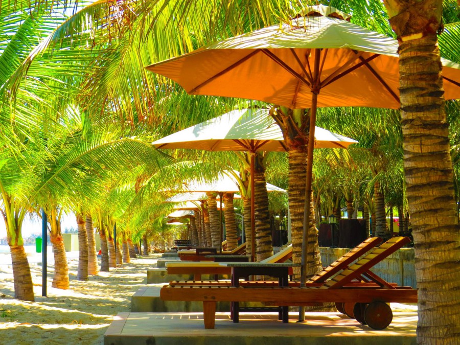 Con Ga Vang Resort (Ex. Golden Rooster) 3*