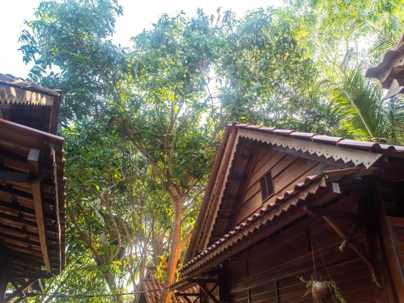 Cosy Bungalow 3*