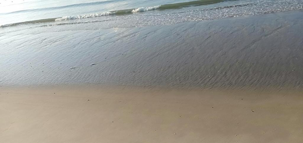 Pacific Beach Resort 3*