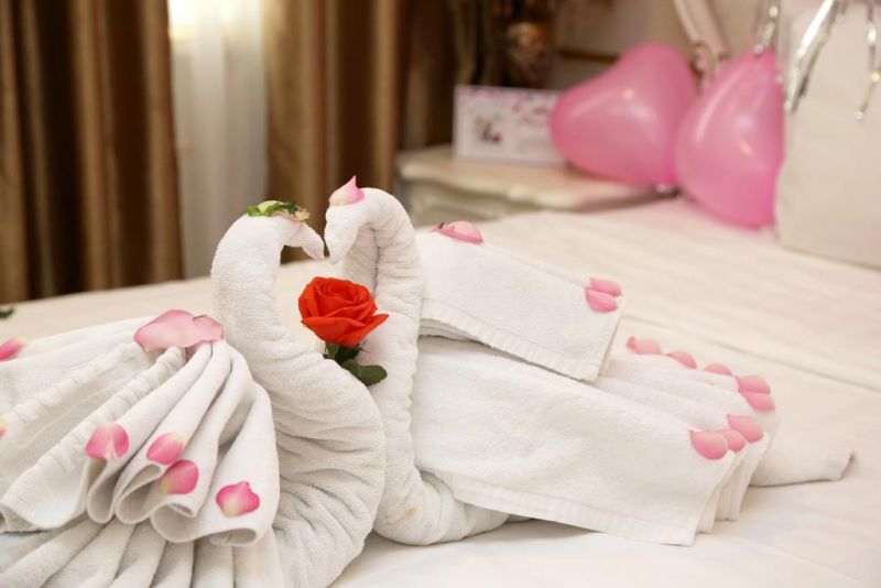 Tuyet Son Hotel 4*
