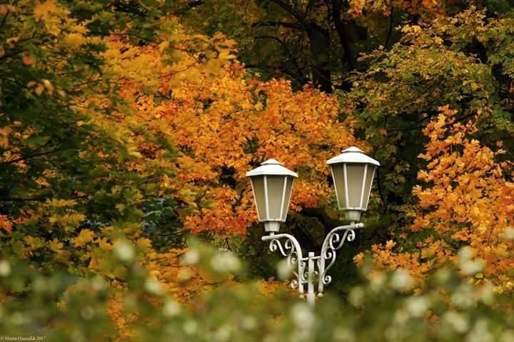 Apartment Ruska 3*