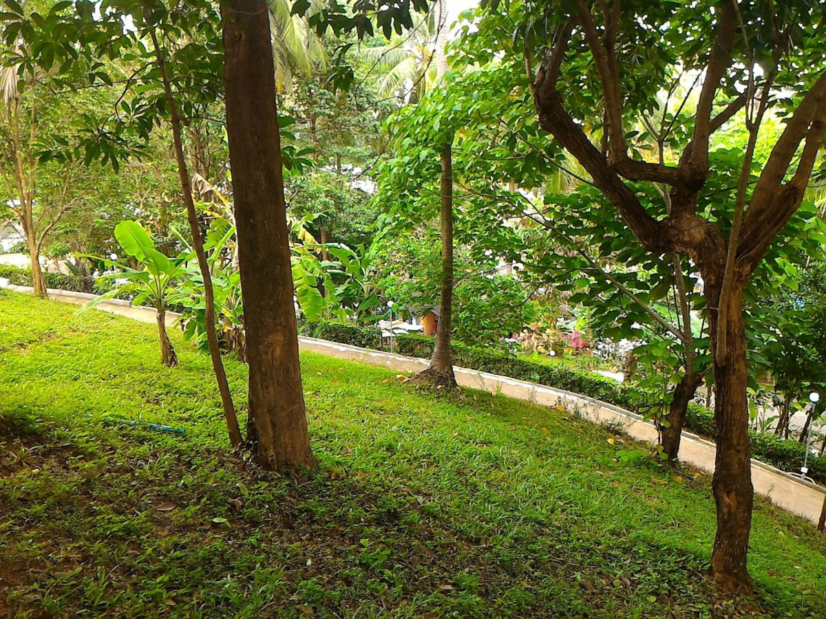 Baan Kawkaew Kata 2*