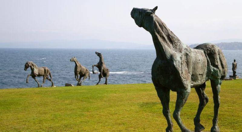 Art Complex Anel 3*