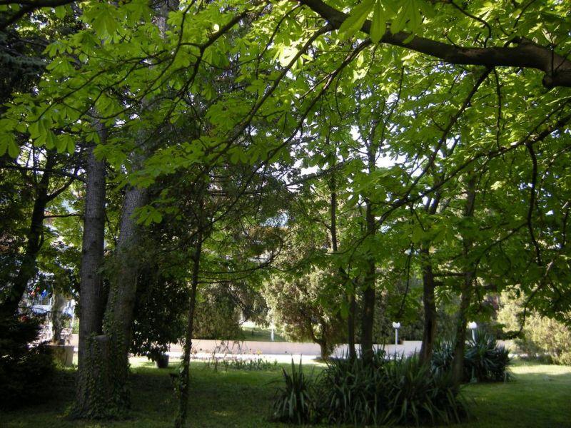 Persey Park Hotel 3*