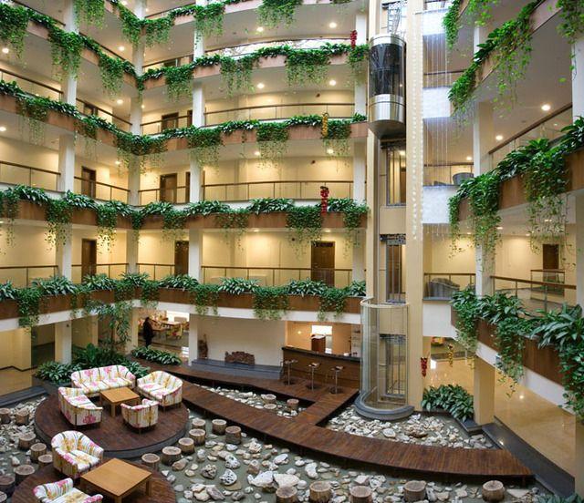 Spa Hotel Orchidea 4*