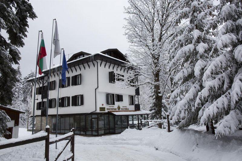 Victoria Borovets 3*